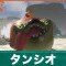 タンシオの倒し方と弱点