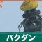バクダンの倒し方と弱点