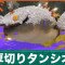 厚切りタンシオの倒し方と弱点