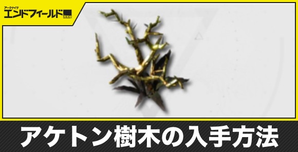 【エンドフィールド】アケトン樹木の入手方法
