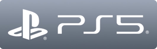 PS5(ボタンデザイン)