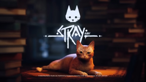 Stray