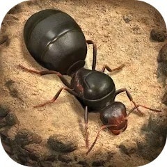 ザアンツ：アンダーグラウンド キングダム