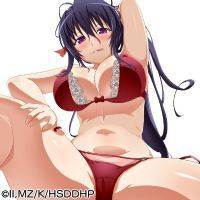 ハイスクールD×D Operation paradise infinity