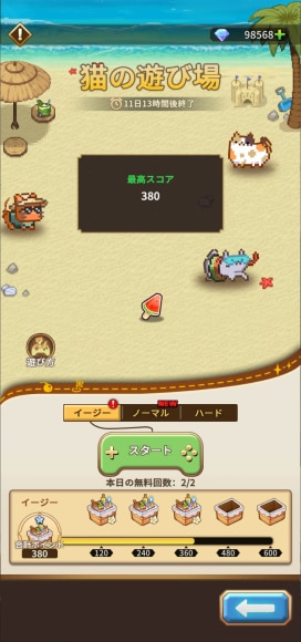 Image7 event猫の遊び場