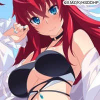 ハイスクールD×D Operation paradise infinity