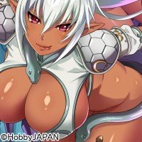 クイーンズブレイドリミットブレイク