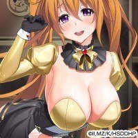 ハイスクールD×D Operation paradise infinity