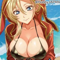 クイーンズブレイドリミットブレイク