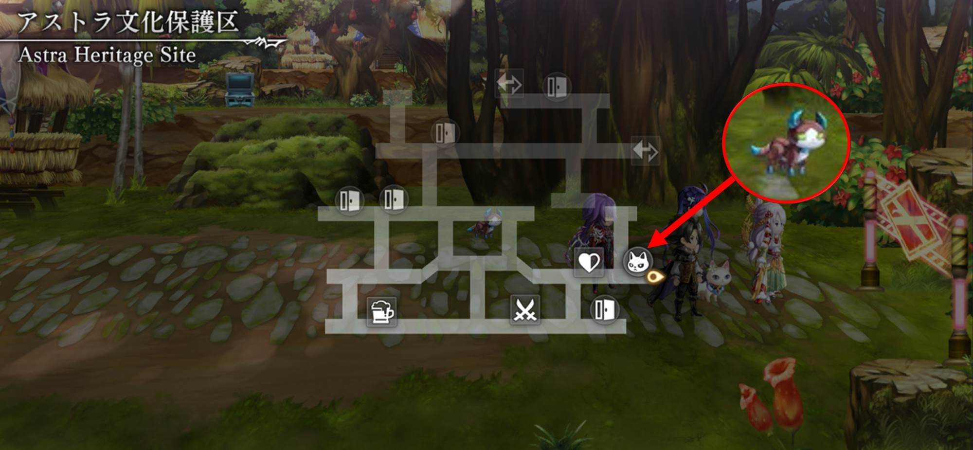 アストラ文化保護区　猫