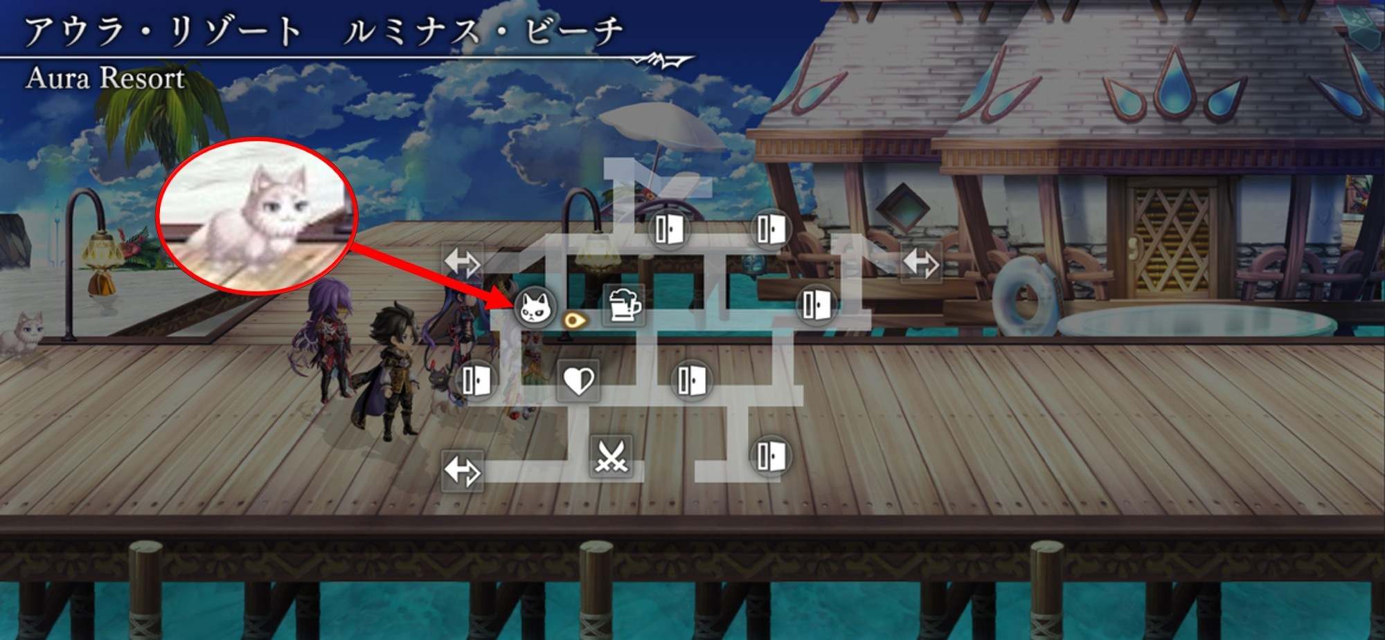 ルミナス・ビーチ　猫