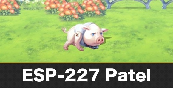 ESP-227 Patel