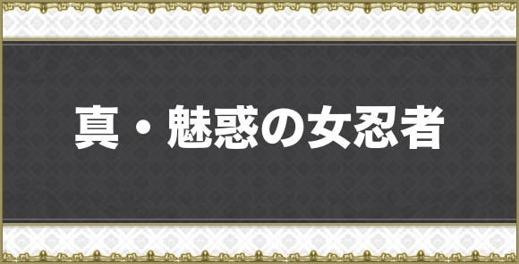 真・魅惑の女忍者