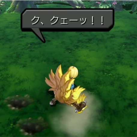 ク、クェーッ！！