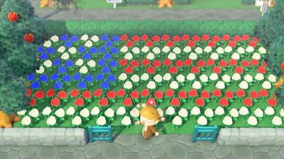 アメリカ国旗の花畑