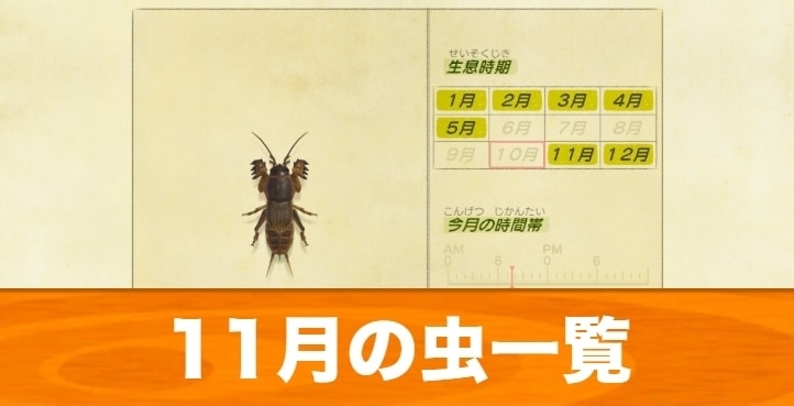 Liste der Insekten im November | Preis und Ort zu erhalten