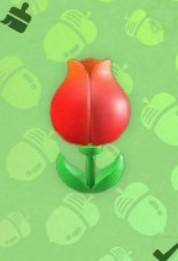 L'aboutissement surpris de tulipe
