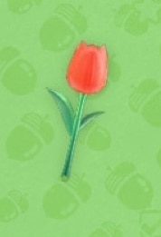 Bâton de tulipe