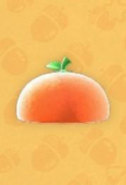 Boshi orange