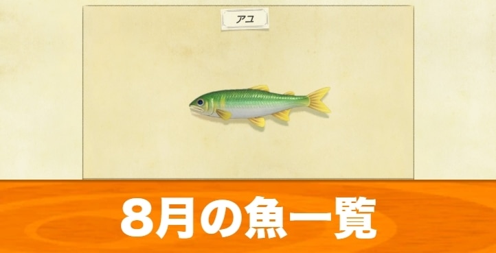 8月の魚一覧｜値段と入手場所