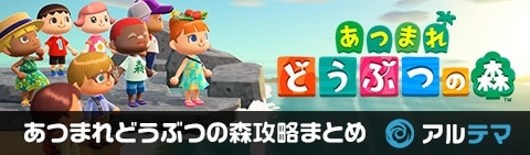 banner_黒帯