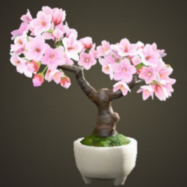 桜の家具