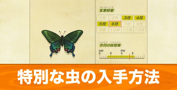 あつ森 特定な条件で入手できる虫一覧 あつまれどうぶつの森 アルテマ