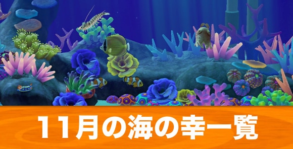 あつ森 オオシャコガイの値段と取り方 時間 時期 あつまれどうぶつの森 アルテマ