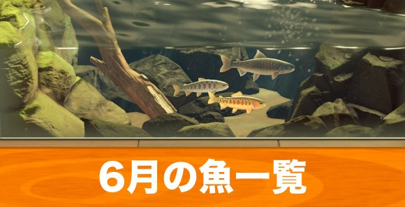 あつ森 ヤマメの値段と釣り方 時間 場所 あつまれどうぶつの森 アルテマ