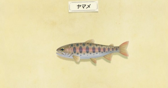 あなたは何問解ける?どうぶつの森クイズ