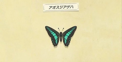 あなたは何問解ける？どうぶつの森クイズ