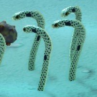10月の海の幸一覧のアイコン