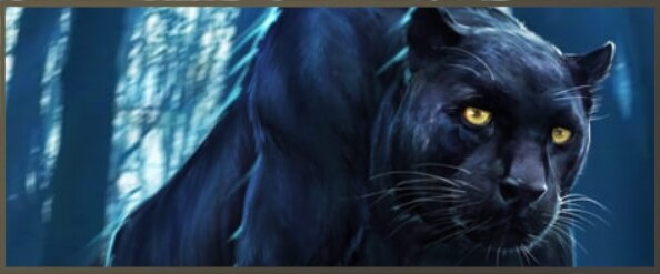 ブラックホライズン 黒豹の性能とスキル ブラホラ アルテマ