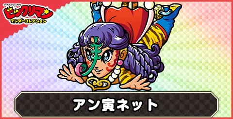 アン寅ネット(新界王)の性能と評価