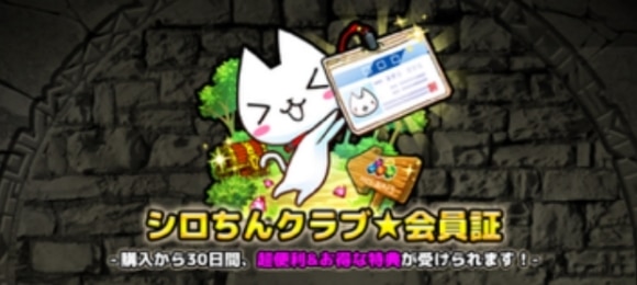 シロちんクラブ