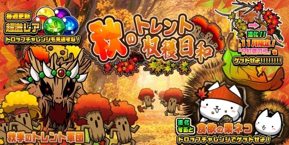 秋のトレント収穫日和