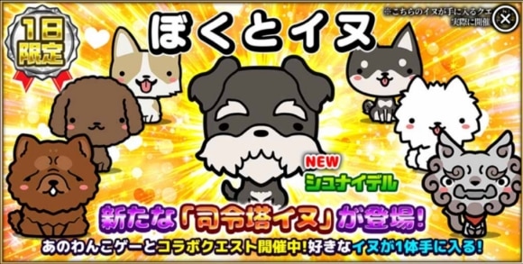 ぼくとイヌの司令塔イヌはどれを選ぶ?