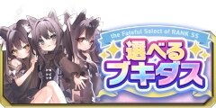 選べるブキダス