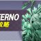 イベント記事一覧