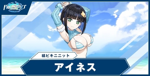 アイネス(縞ビキニニット)の性能と評価