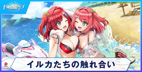 イルカたちの触れ合い