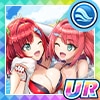 イルカたちの触れ合い
