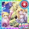 煌めきに導かれて