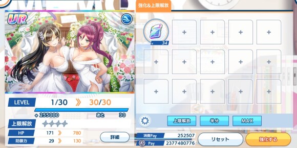 レベル上げはメモリーチップを仕様