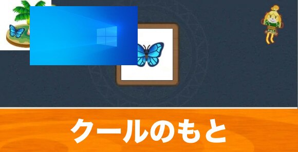 モルフォチョウ
