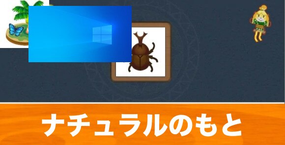 カブトムシ