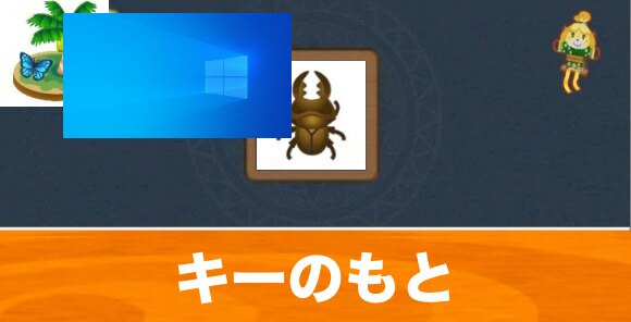 ミヤマクワガタ