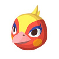 ヒノコ