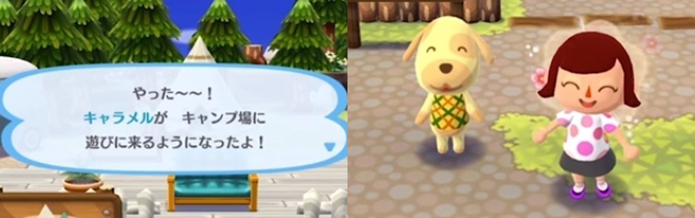 住民