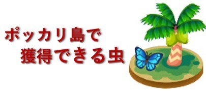 ポッカリ島
